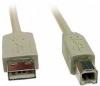 Cable USB 2.0 A macho / B macho de 1.8m. apr�x.