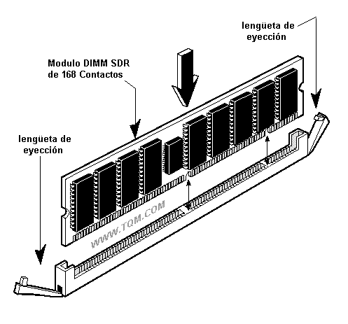 Ilustracion sober como colocar el DIMM