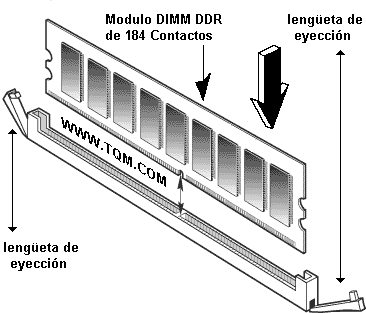Ilustracion sober como colocar el DIMM