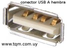 conector USB A Hembra